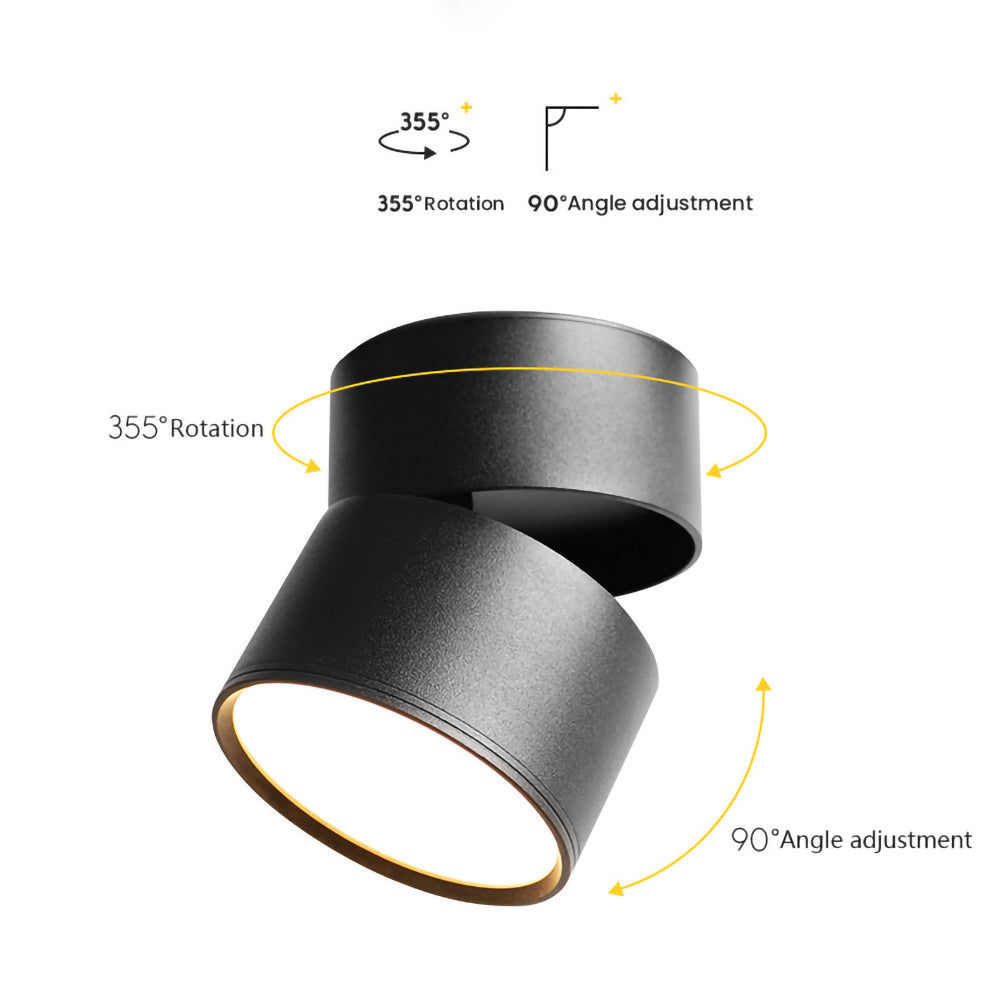 LED Ceiling Light with Adjustable Spotlight Head