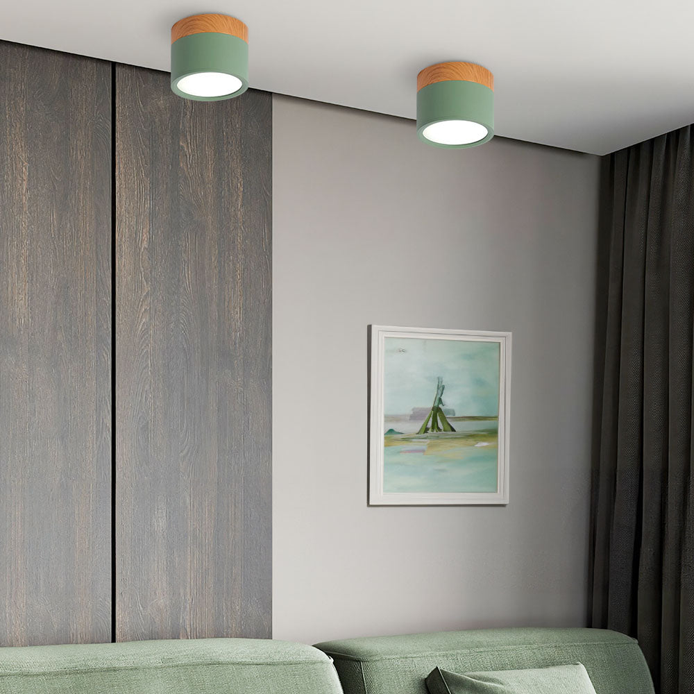 LED Ceiling Light Modern Flush Mount Cylinder