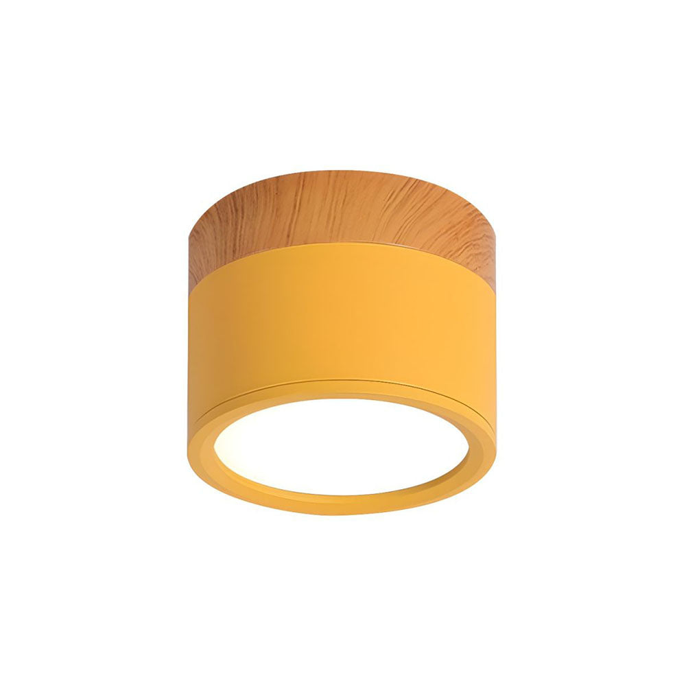 LED Ceiling Light Modern Flush Mount Cylinder