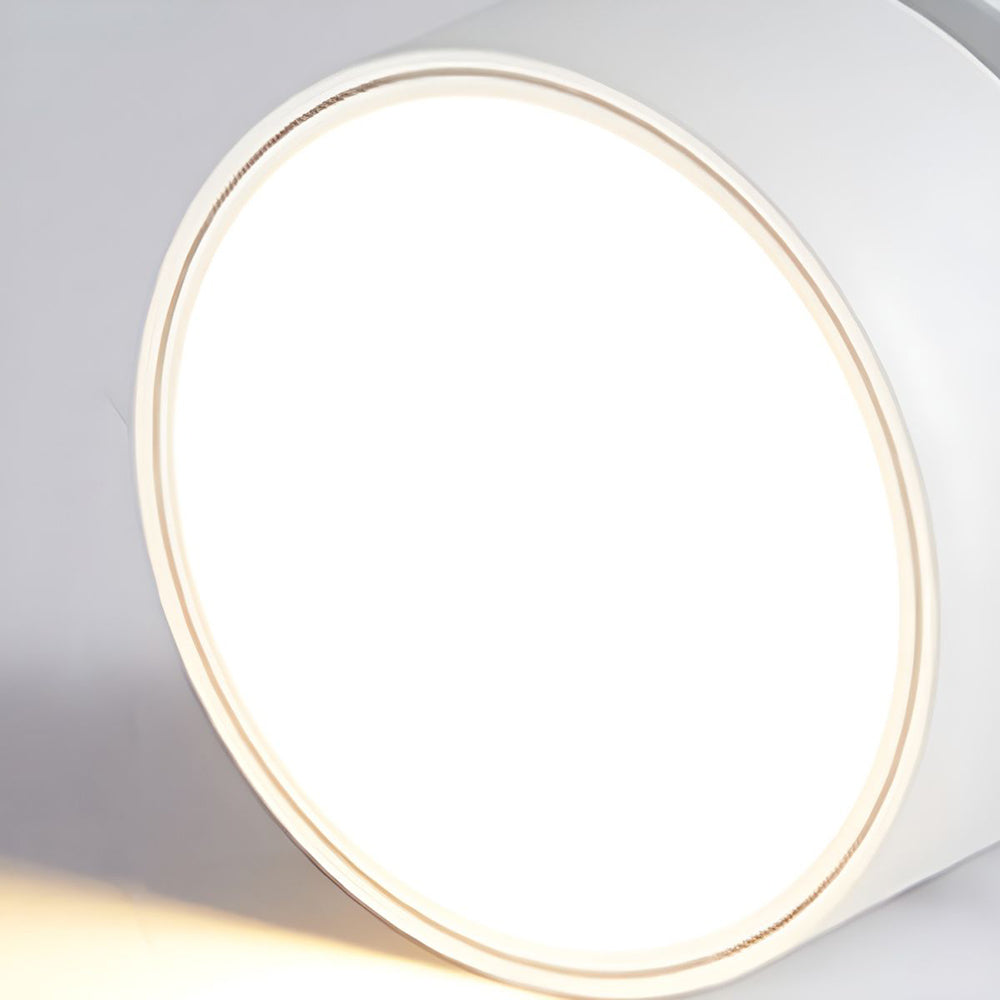 LED Ceiling Light with Adjustable Spotlight Head