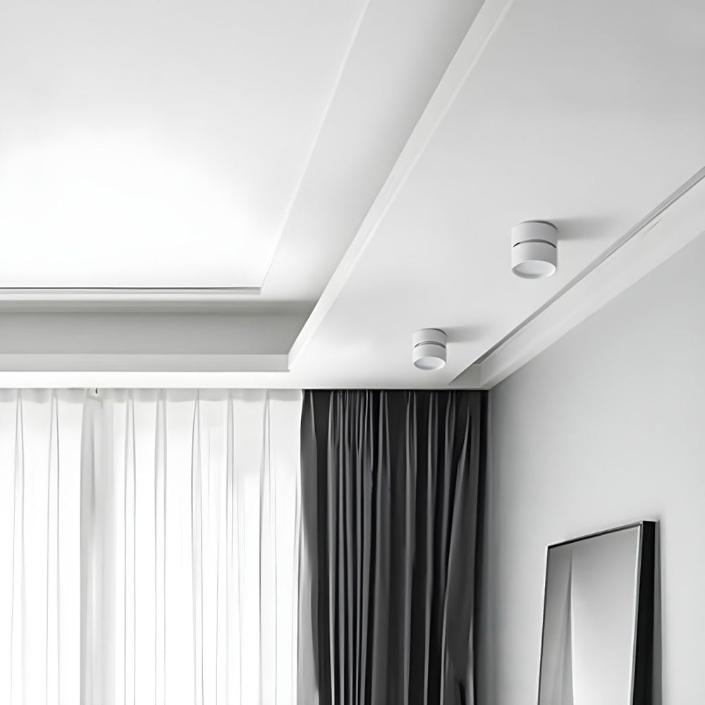LED Ceiling Light with Adjustable Spotlight Head