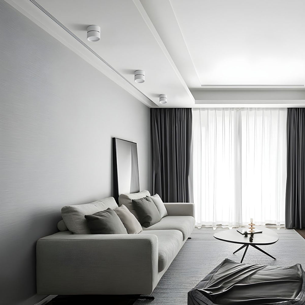 LED Ceiling Light with Adjustable Spotlight Head