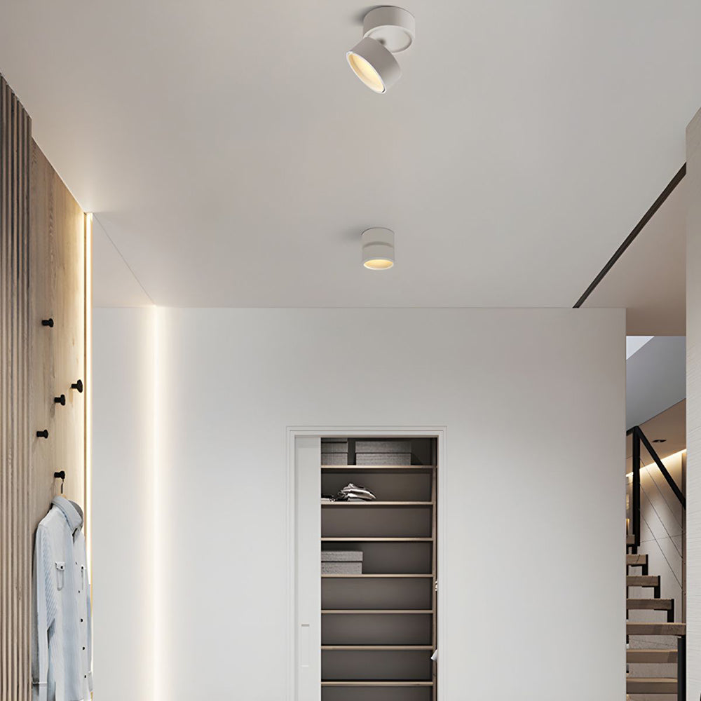 LED Ceiling Light with Adjustable Spotlight Head