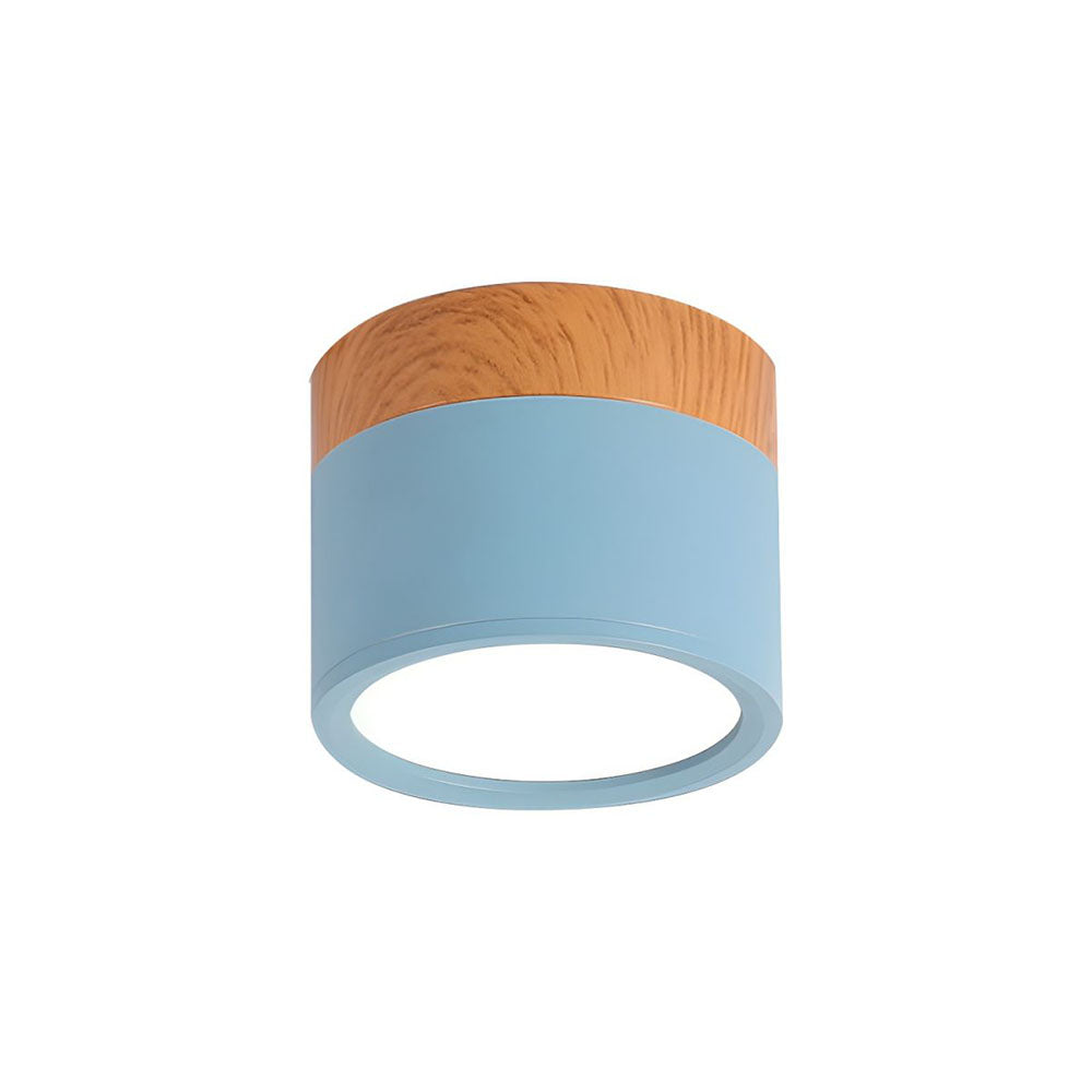 LED Ceiling Light Modern Flush Mount Cylinder