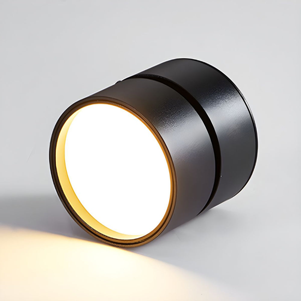 LED Ceiling Light with Adjustable Spotlight Head