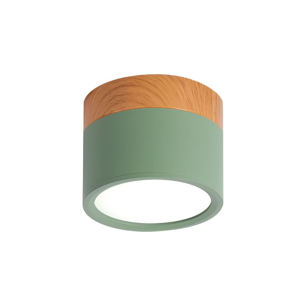 LED Ceiling Light Modern Flush Mount Cylinder