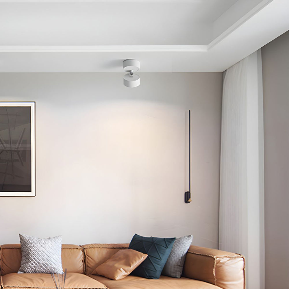 LED Ceiling Light with Adjustable Spotlight Head