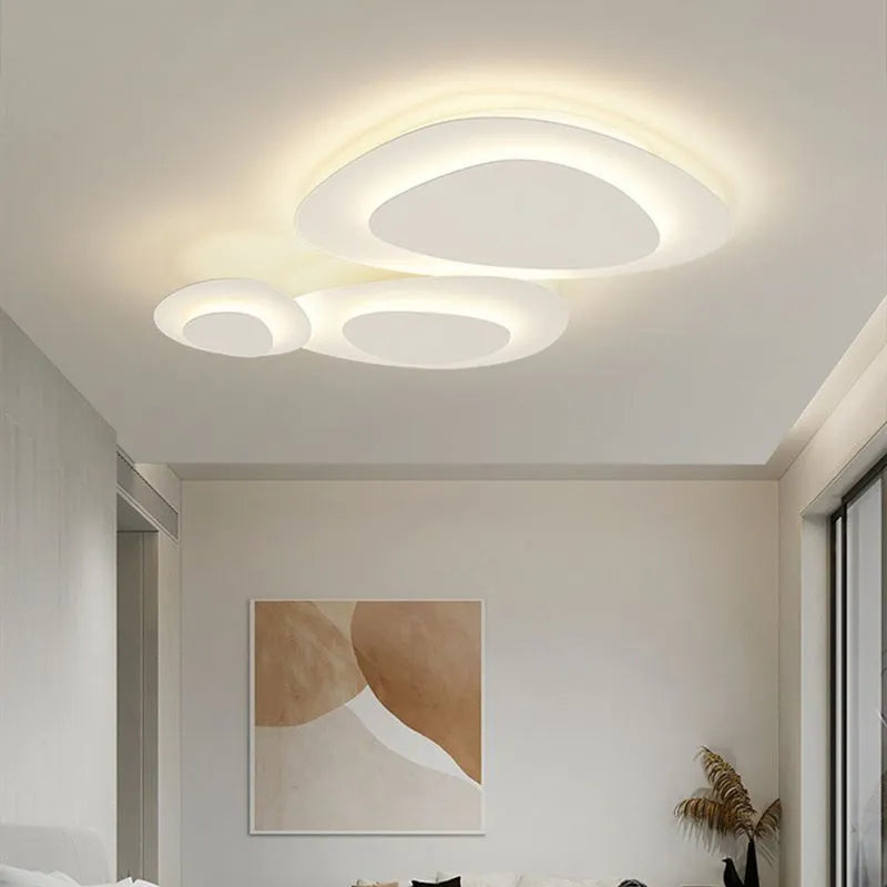 Ceiling Light Modern LED Metal Fixture