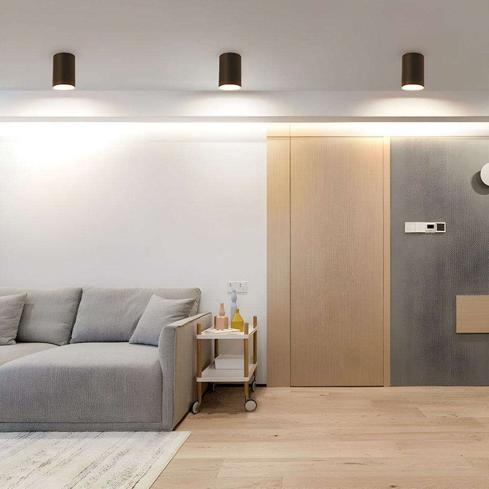 Ceiling Light Modern Aluminum LED Downlight