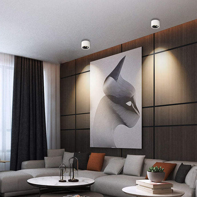 Ceiling Light Modern Adjustable LED Spotlight
