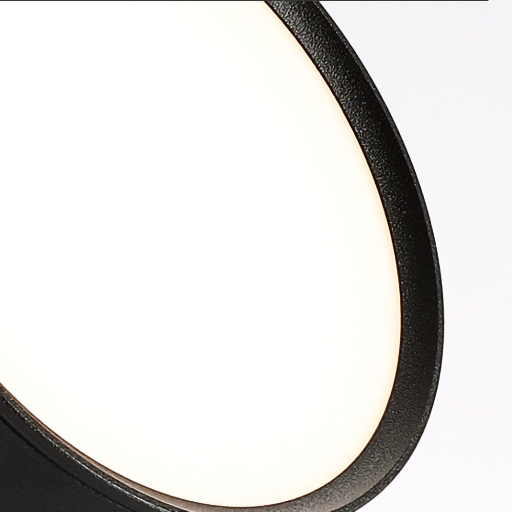 LED Ceiling Light with Adjustable Spotlight Head