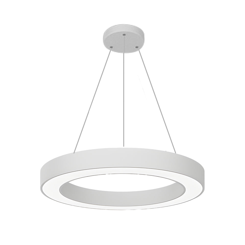 Ceiling Pendant Light Modern LED Ring Fixture
