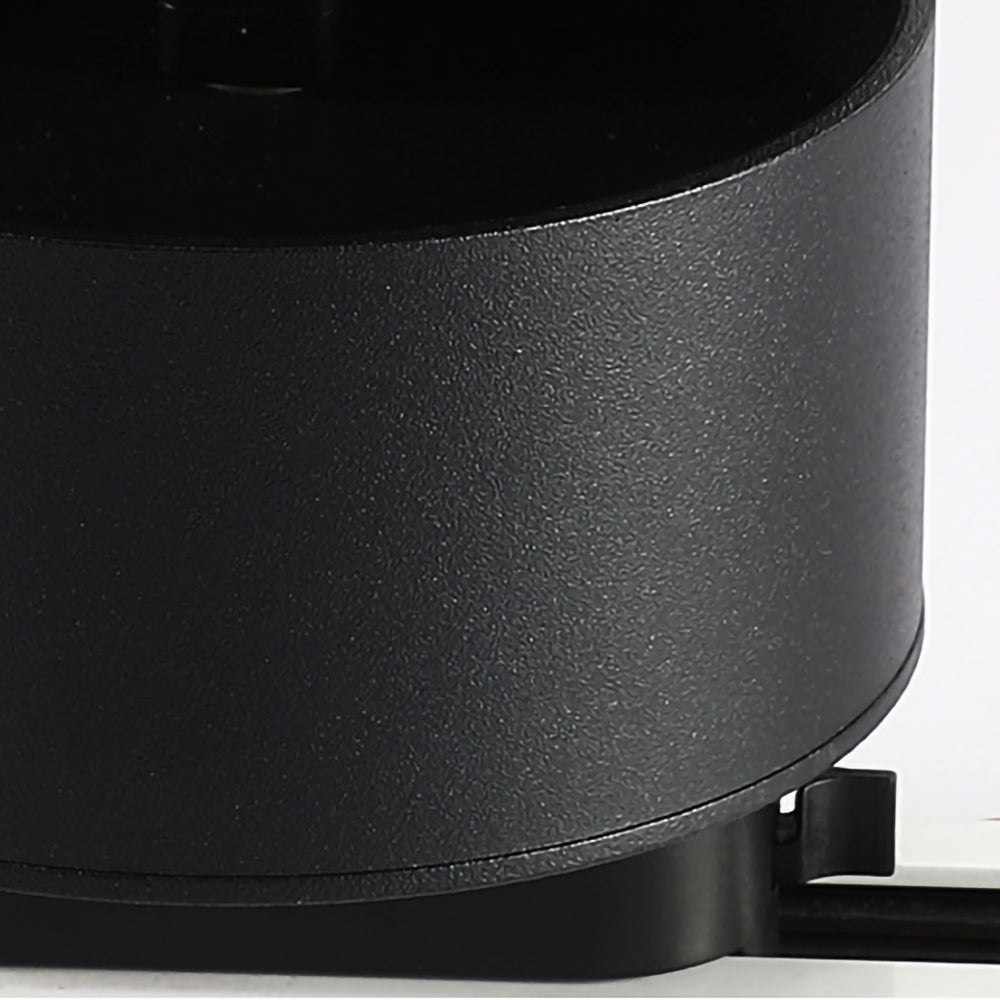 LED Ceiling Light with Adjustable Spotlight Head