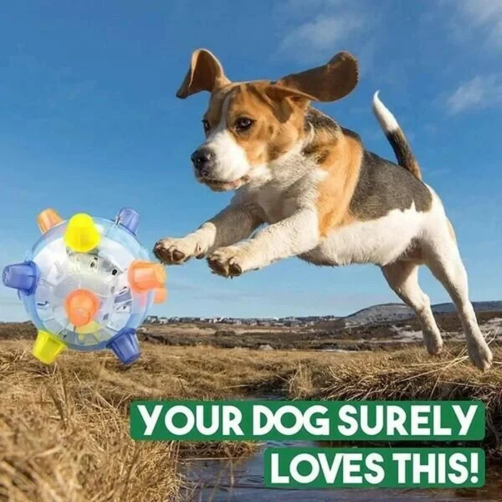 Dog Ball Toy Interactive LED Bouncing Rubber Light Up Play Ball
