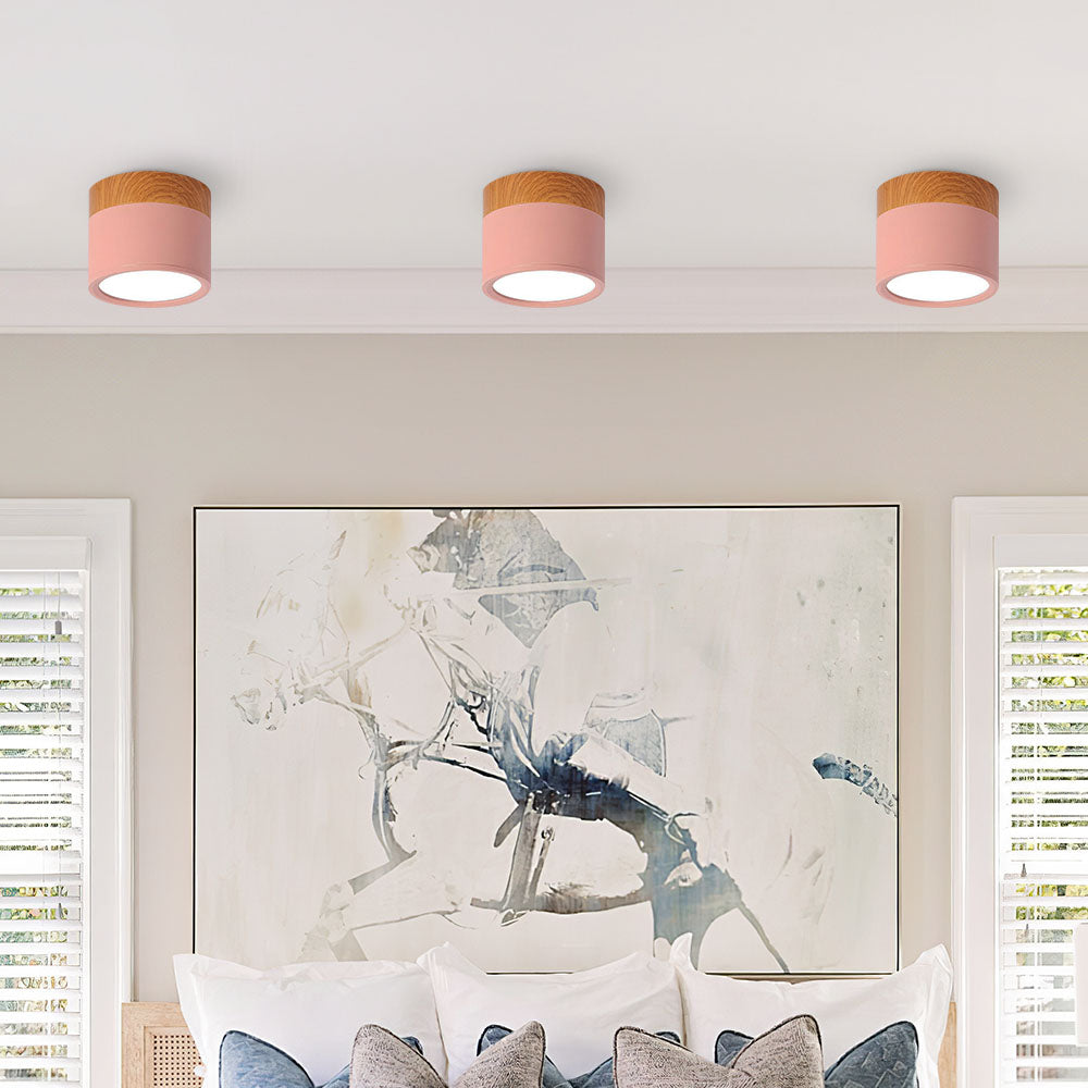 LED Ceiling Light Modern Flush Mount Cylinder