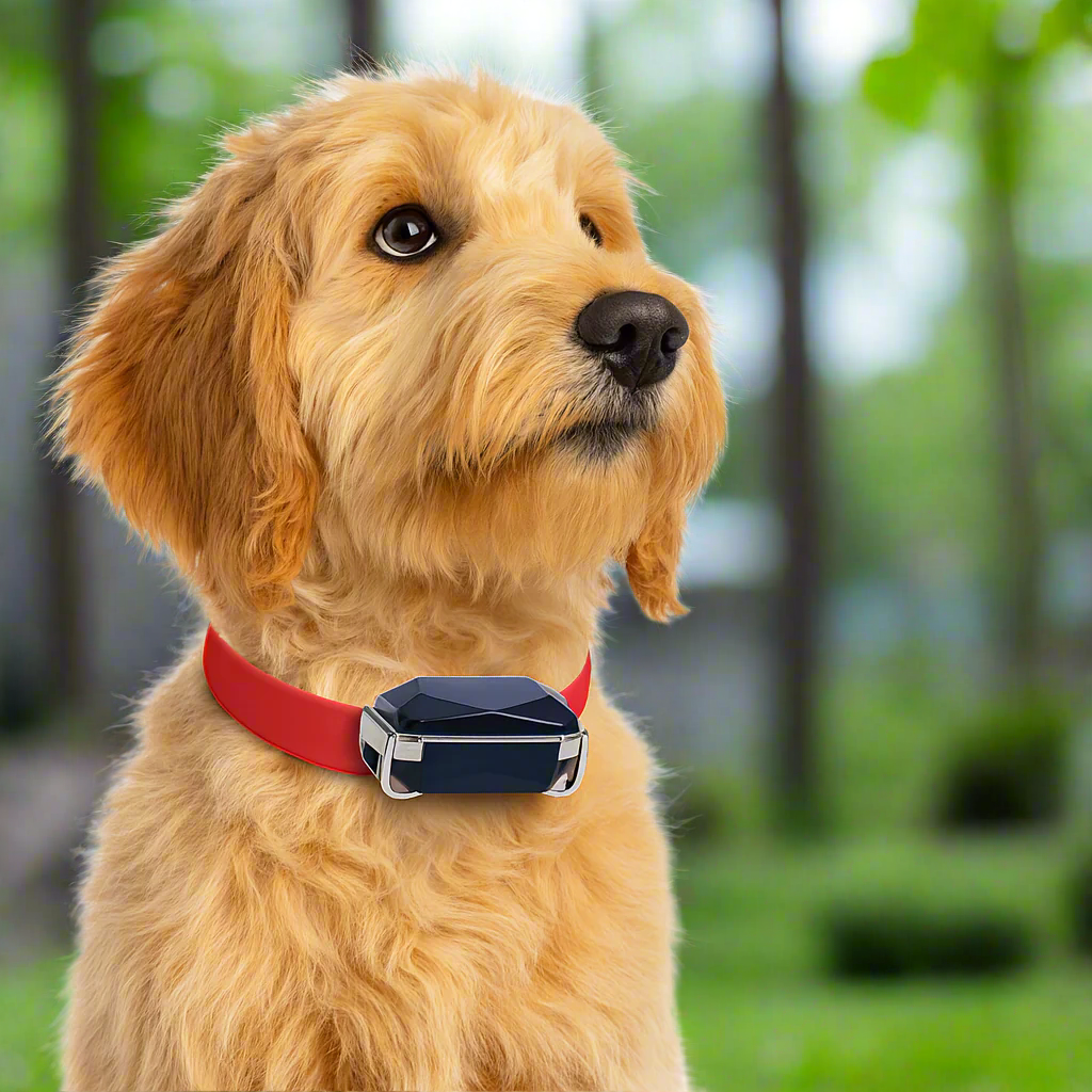 GPS Tracker Realtime Leather Pet Collar