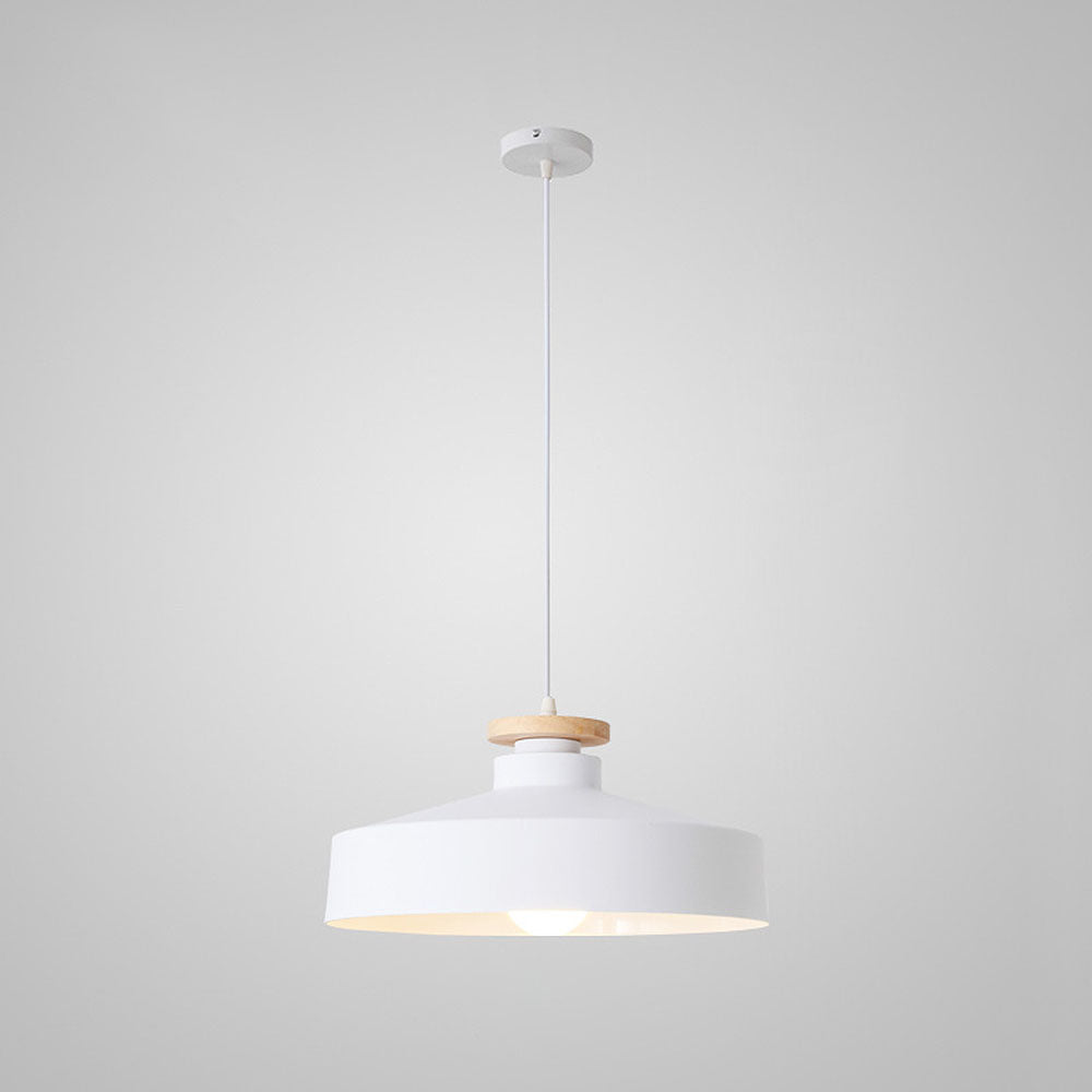 Pendant Light in Colourful Metal Finish