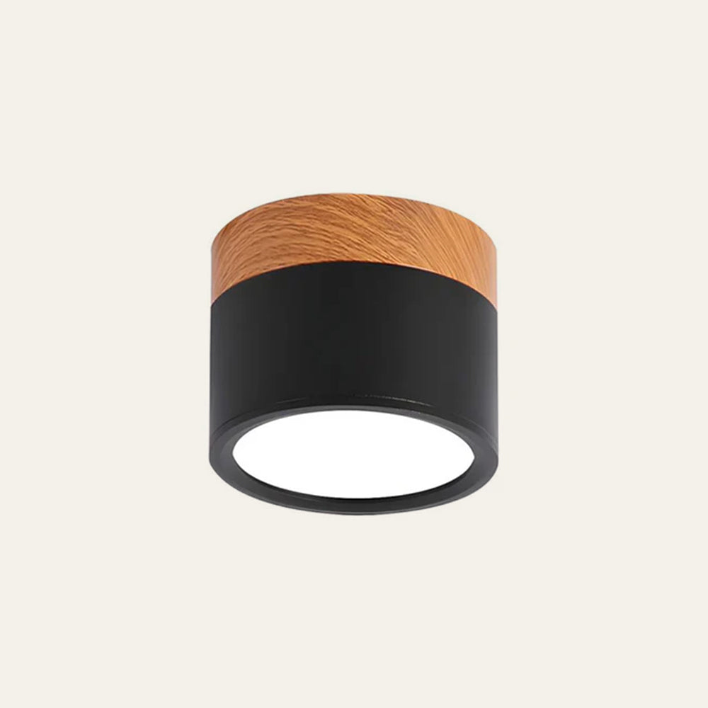 LED Ceiling Light Modern Flush Mount Cylinder