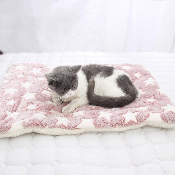 Coperta per cane in peluche lavabile cuscino per animali domestici