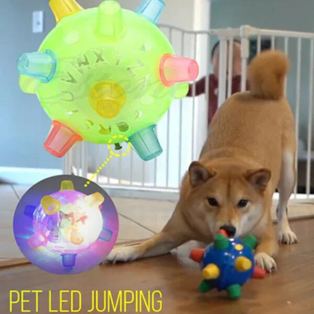 Dog Ball Toy Interactive LED Bouncing Rubber Light Up Play Ball