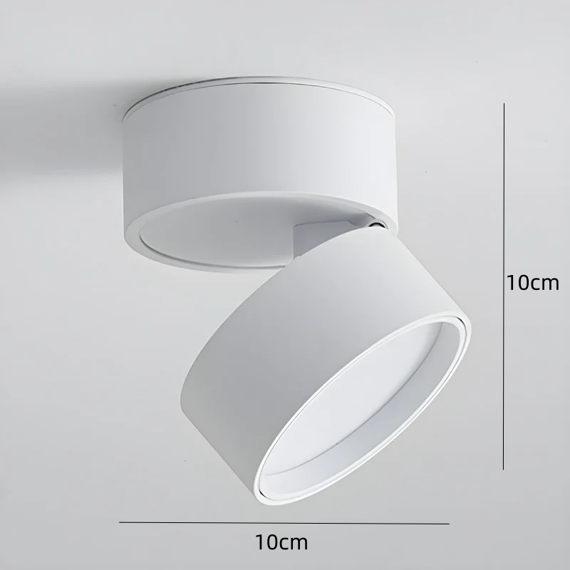 LED Ceiling Light with Adjustable Spotlight Head