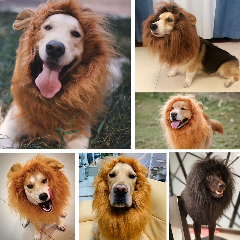 Costume di Halloween con criniera da leone realistico per cane | Regolabile e leggero