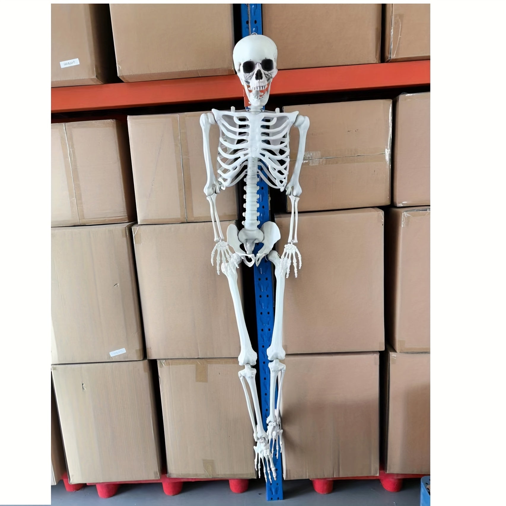 Esqueleto gigante realista de 12 pies decoración de Halloween | Posable para exteriores