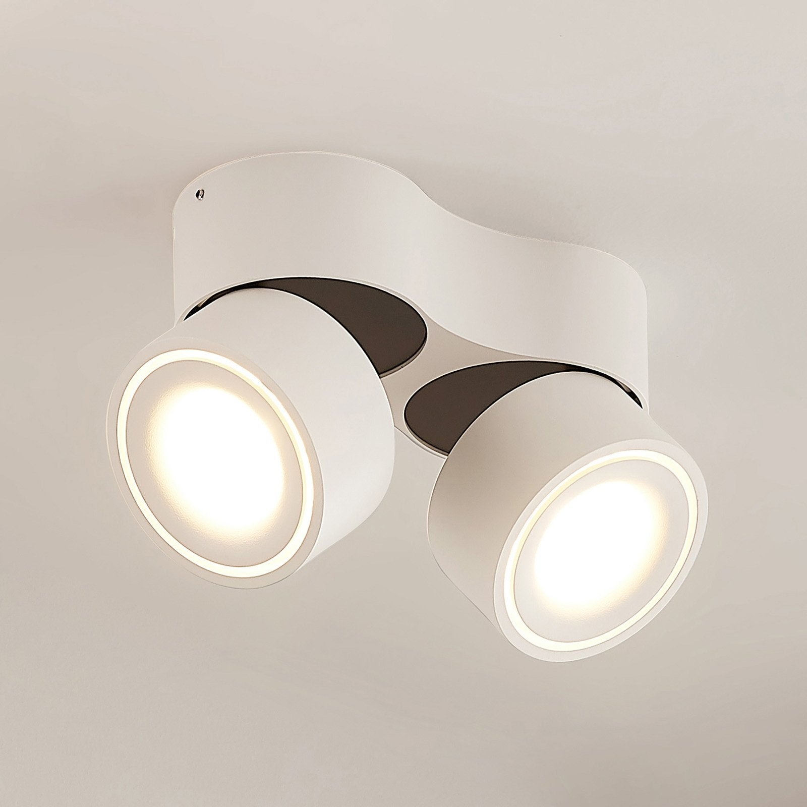 Ceiling Light with Adjustable LED Spotlights