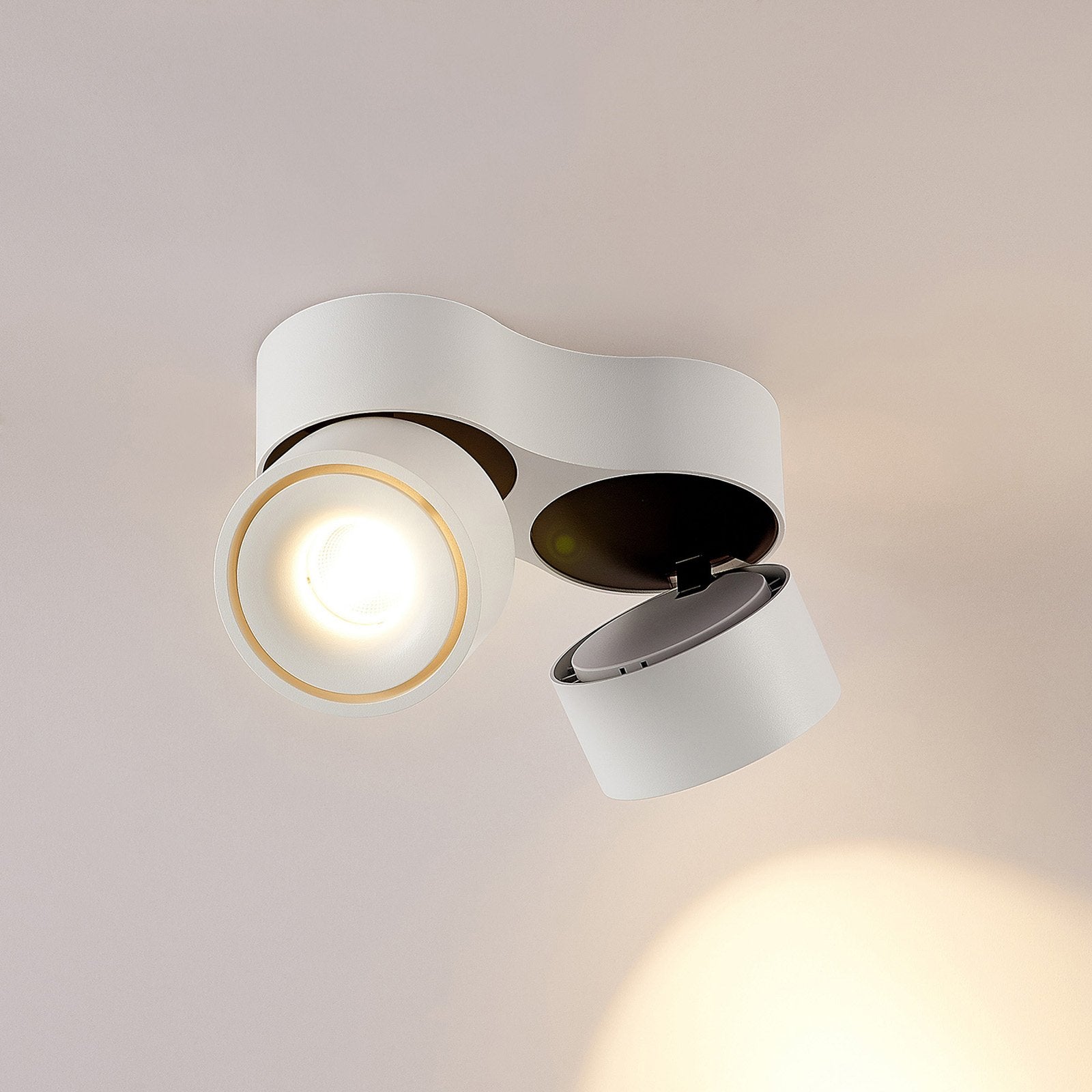 Ceiling Light with Adjustable LED Spotlights