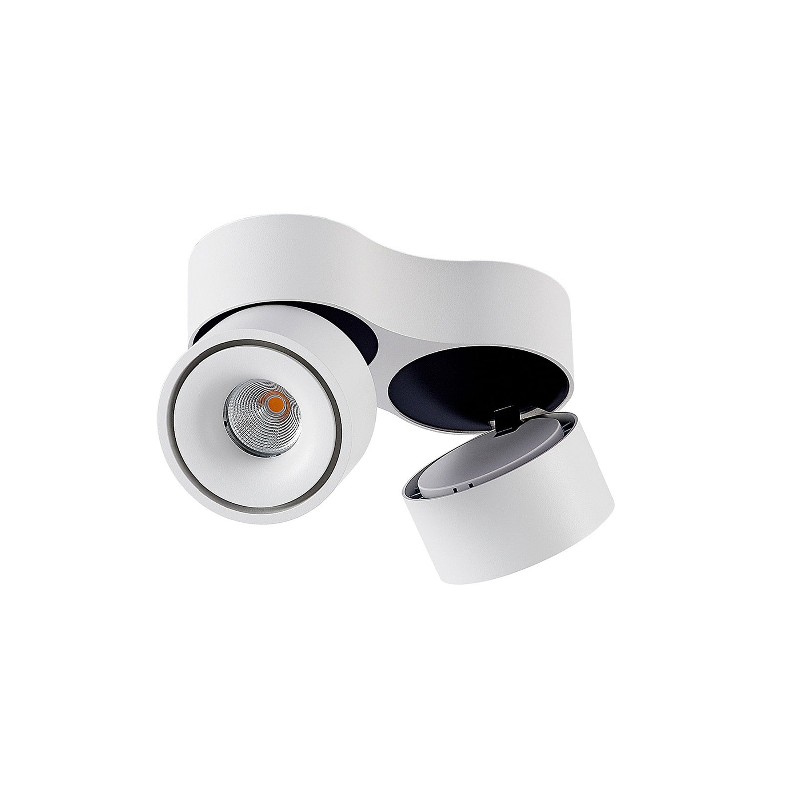 Ceiling Light with Adjustable LED Spotlights