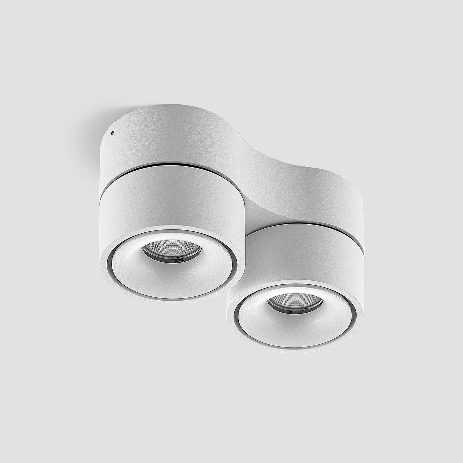 Ceiling Light with Adjustable LED Spotlights