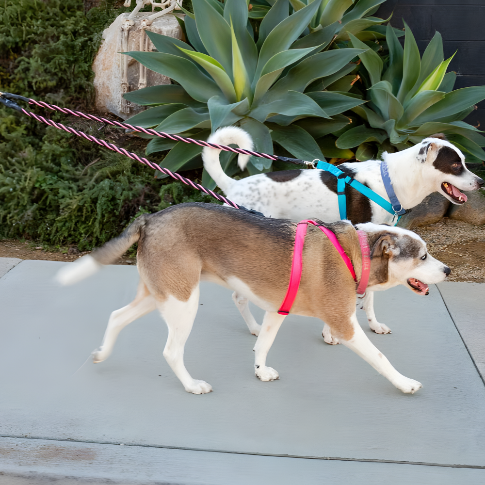 Pets Leash Double Nylon No Tangle Swivel Bungee Padded Handle