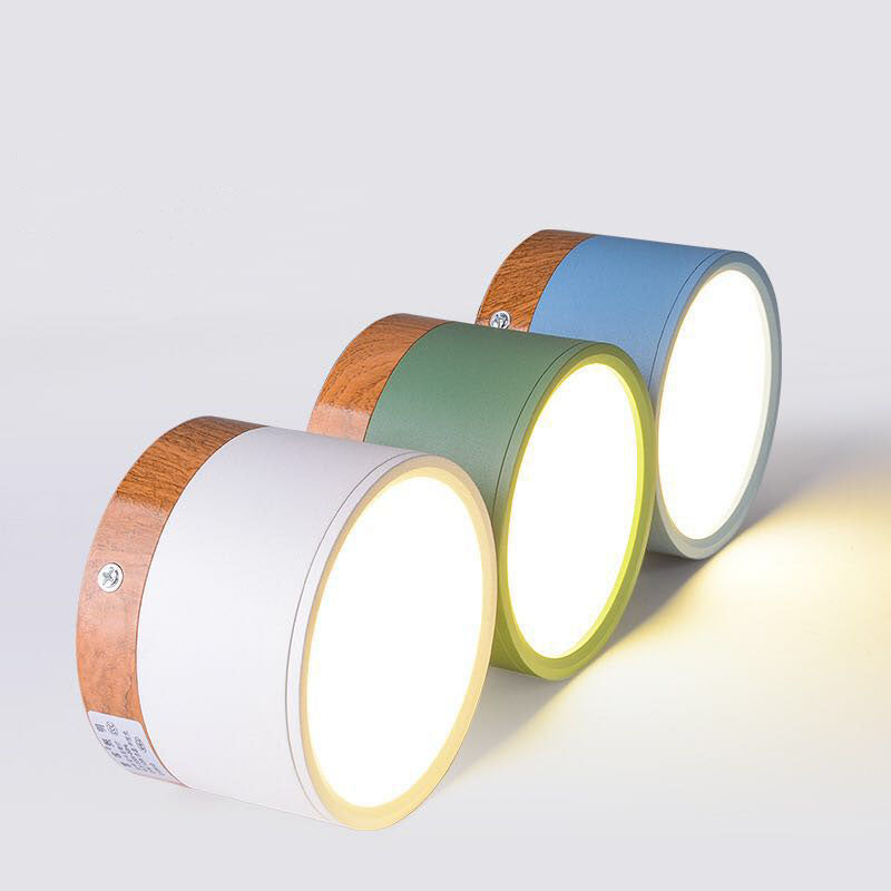 LED Ceiling Light Modern Flush Mount Cylinder