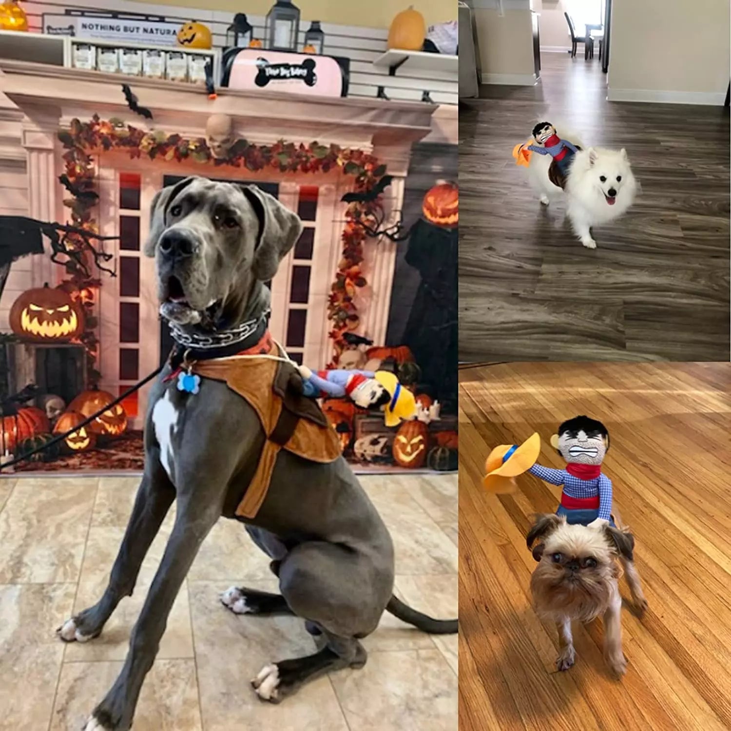 Hilarious Cowboy Costume for Dogs - Image 7