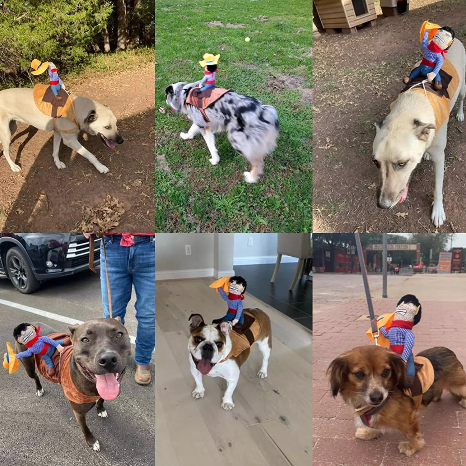 Hilarious Cowboy Costume for Dogs - Image 8