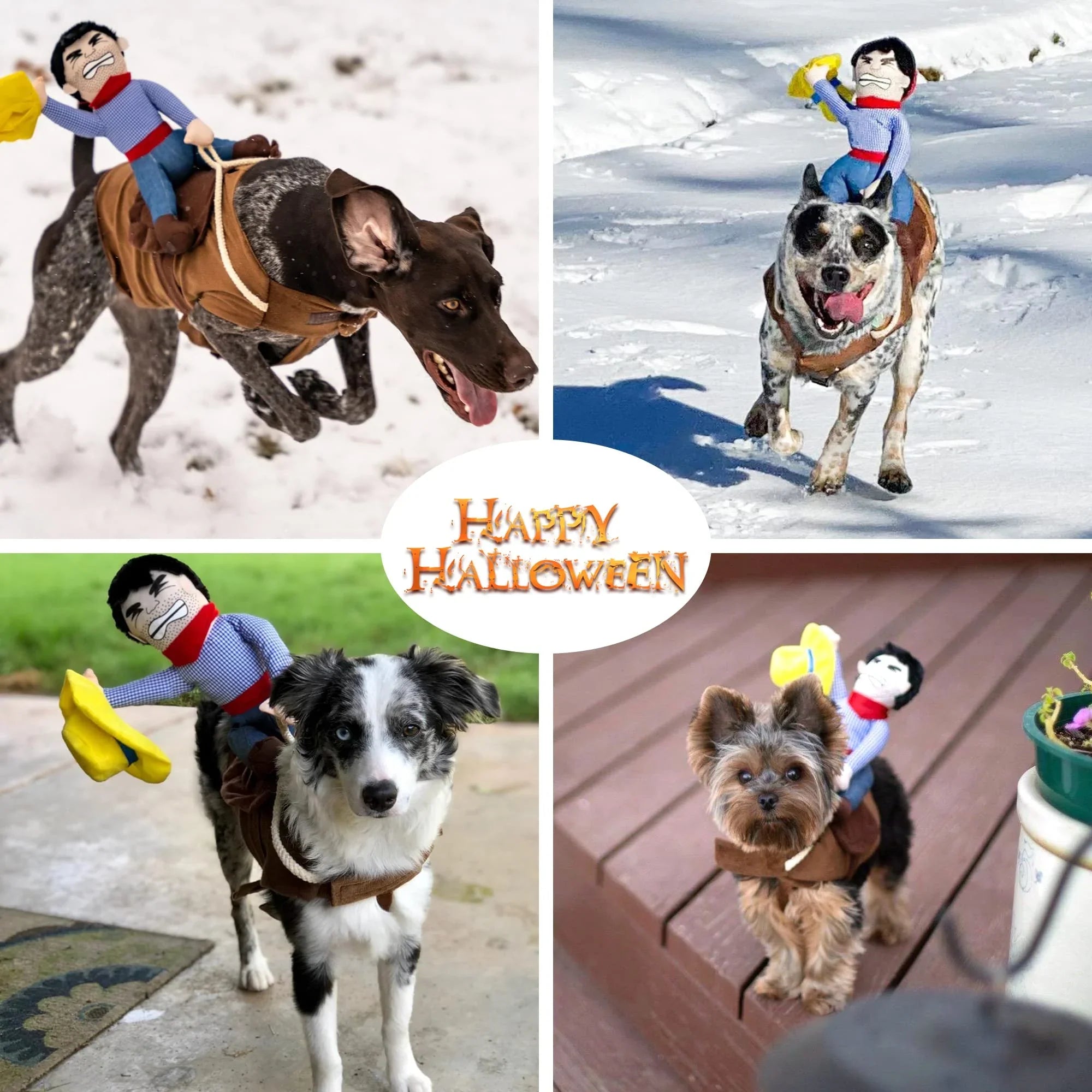 Hilarious Cowboy Costume for Dogs - Image 2