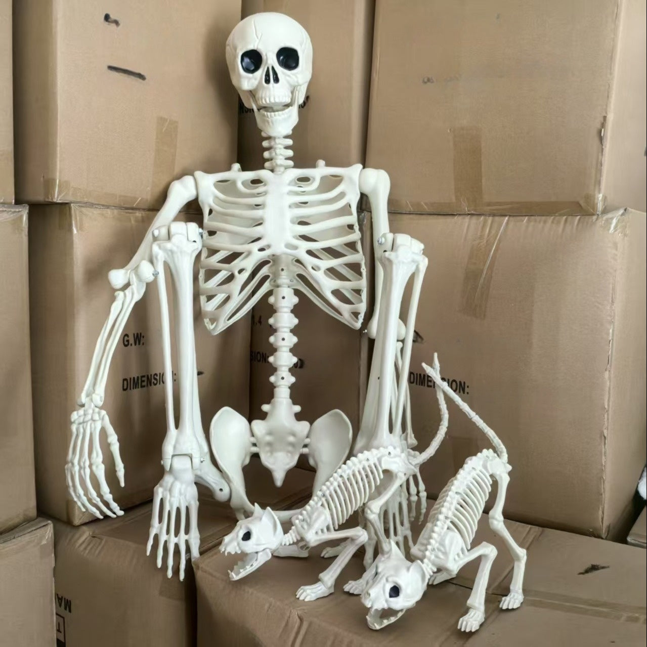 Halloween Decor Poseable Skeleton Set