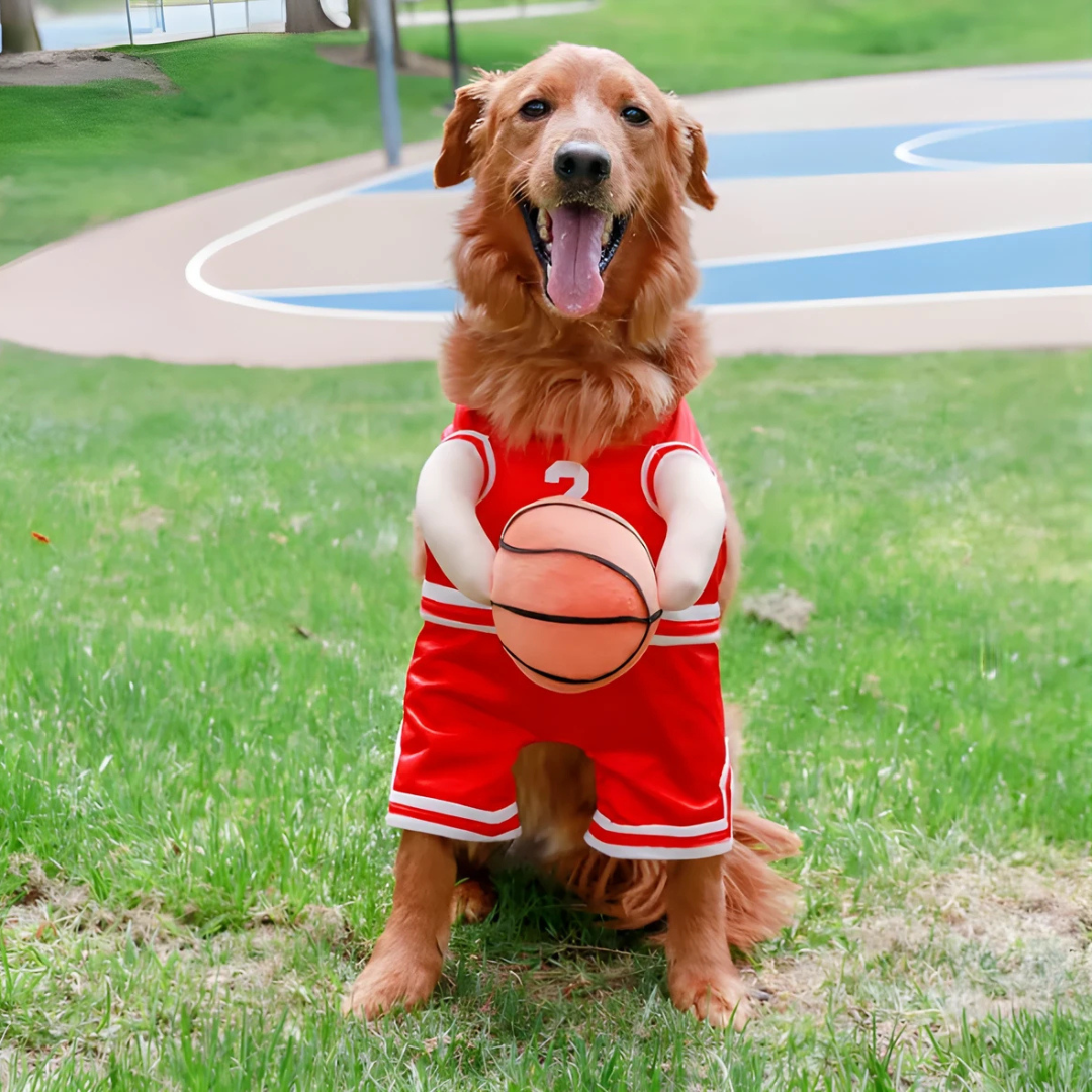 Disfraz de perro de Halloween traje de baloncesto