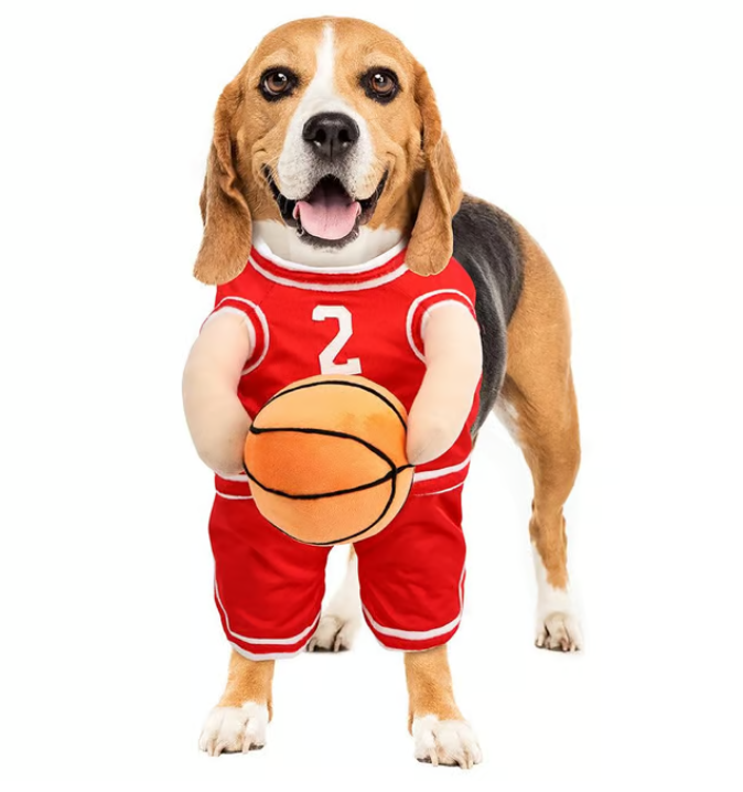 Festive Dog Sports Costume for Halloween Fun - Image 6