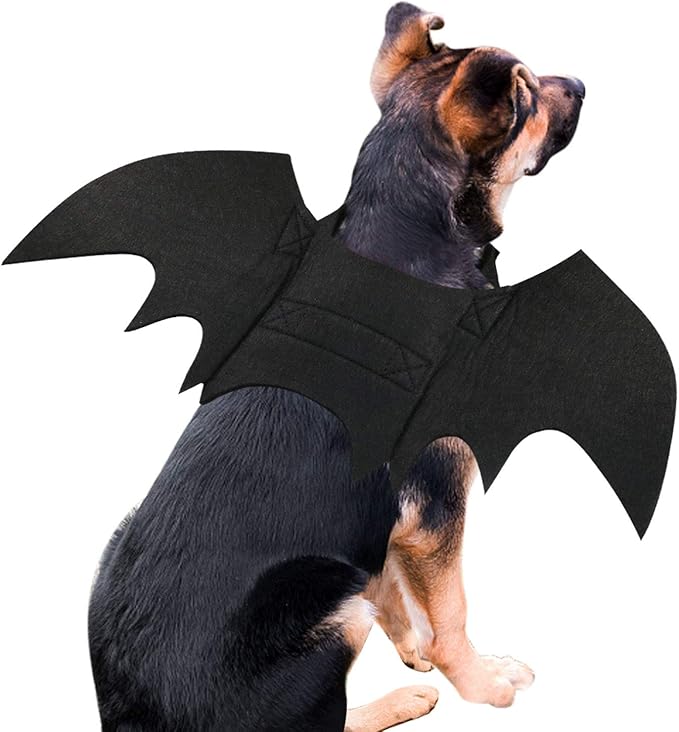 Spooky Bat Costume for Dogs Halloween Fun - Image 1