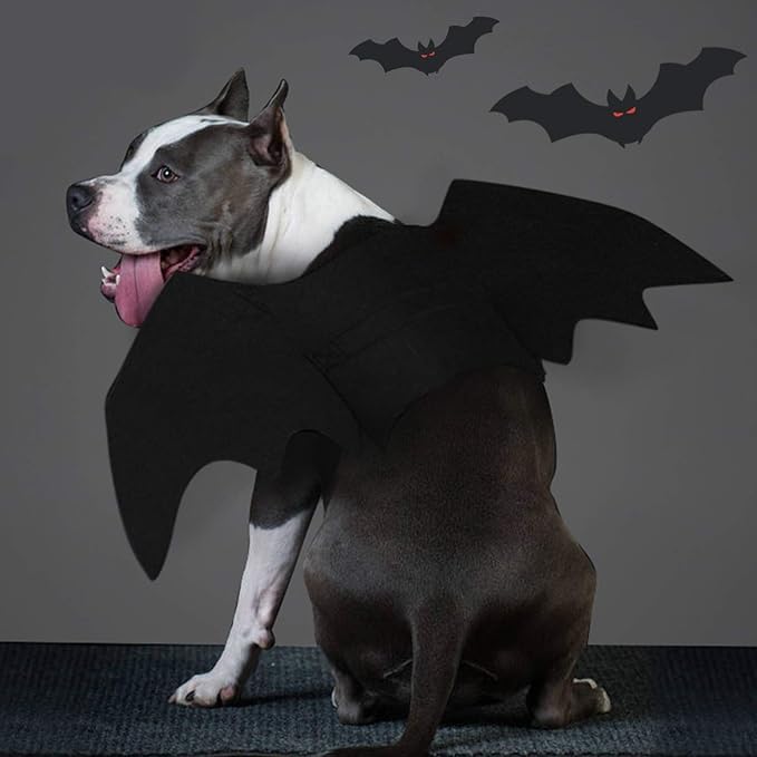Spooky Bat Costume for Dogs Halloween Fun - Image 6
