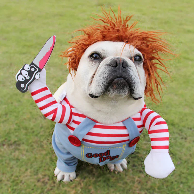 Haunting Pet Costume for Spooky Celebrations - Image 1