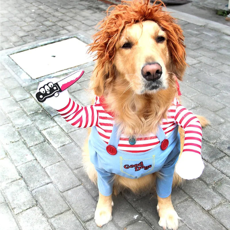 Haunting Pet Costume for Spooky Celebrations - Image 2