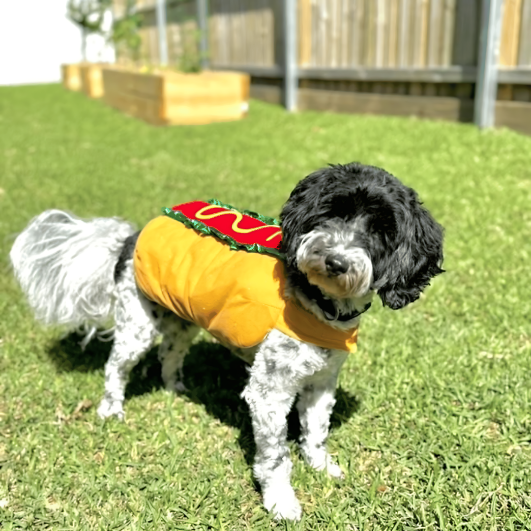Disfraz de perro caliente para mascota de Halloween