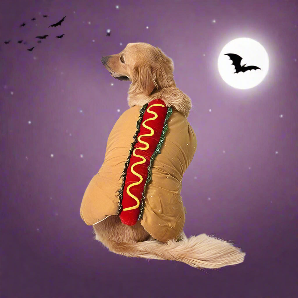Playful Pet Costume for Halloween Fun - Image 1