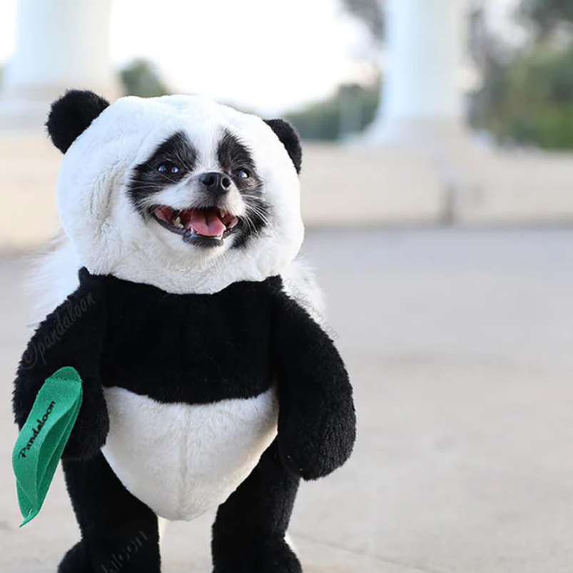 Adorable Panda Costume for Dogs - Image 3