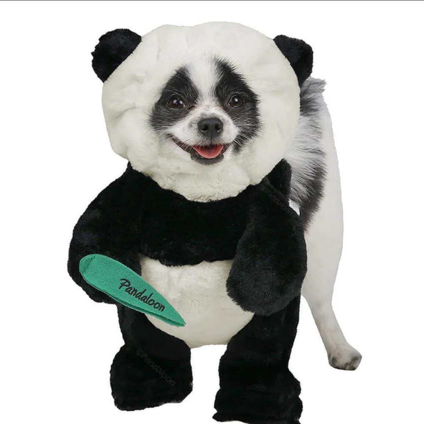 Adorable Panda Costume for Dogs - Image 1