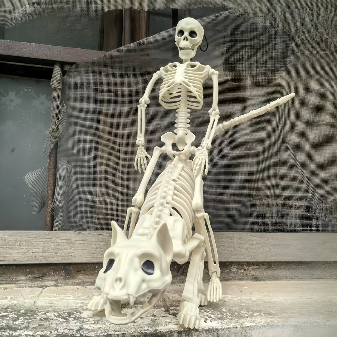 Halloween Skeleton Decoration Set 3pcs