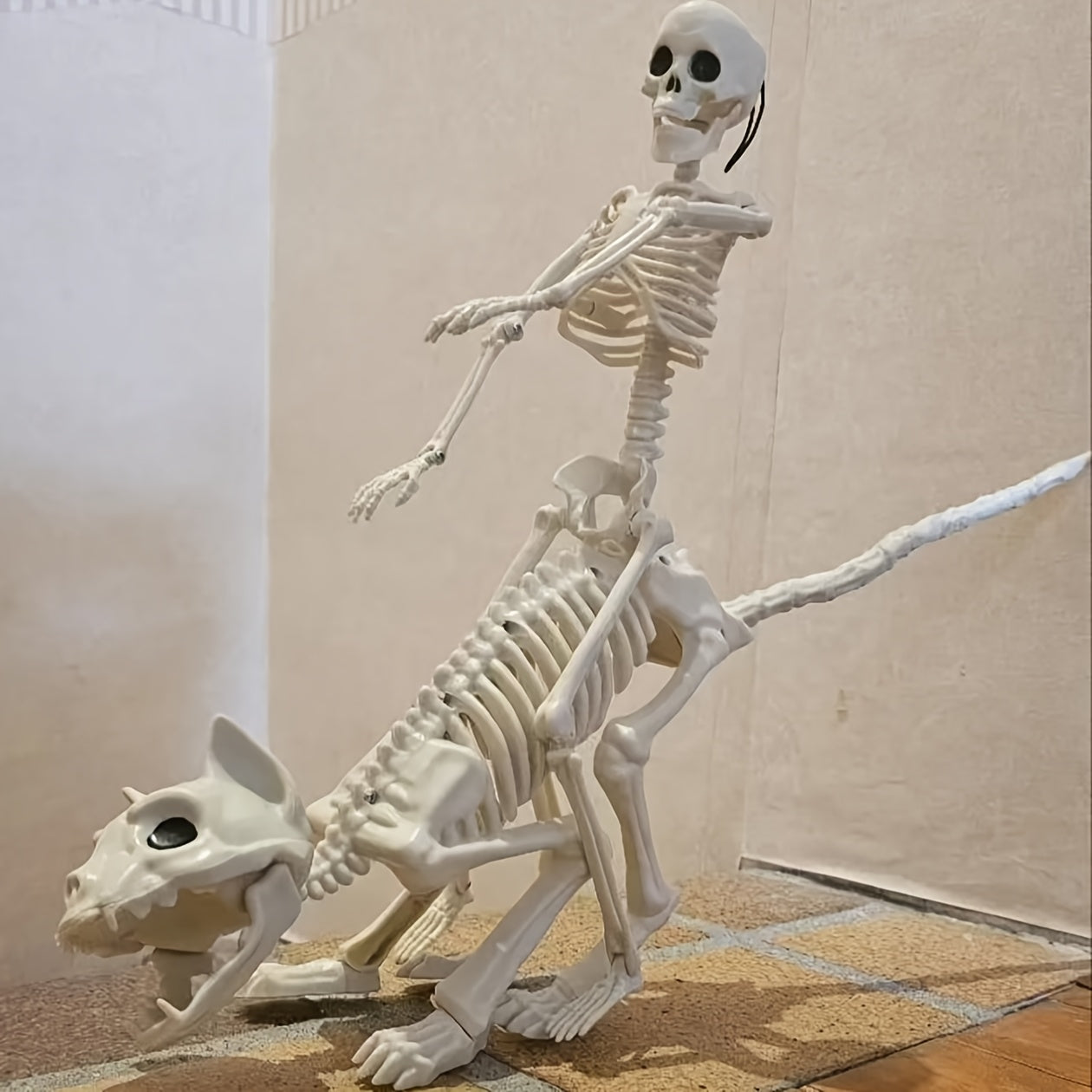 Halloween Skeleton Decoration Set 3pcs