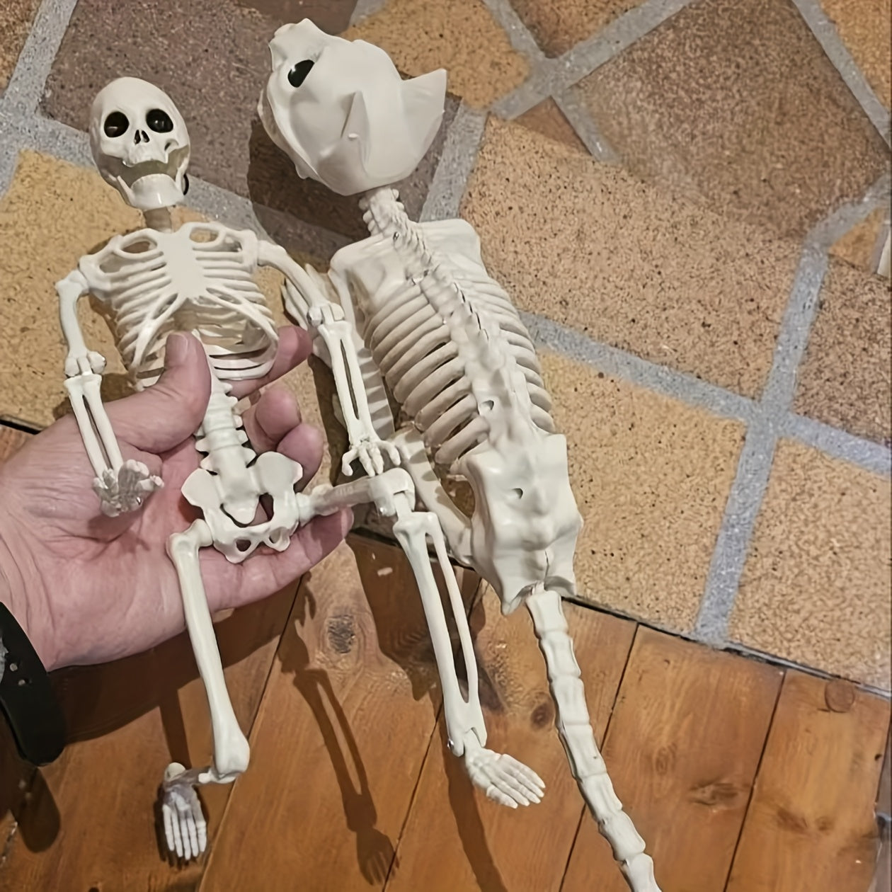 Halloween Skeleton Decoration Set 3pcs